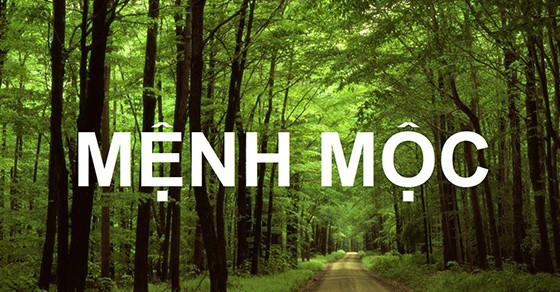 34-1523 Mệnh Mộc nên đeo đá màu gì?