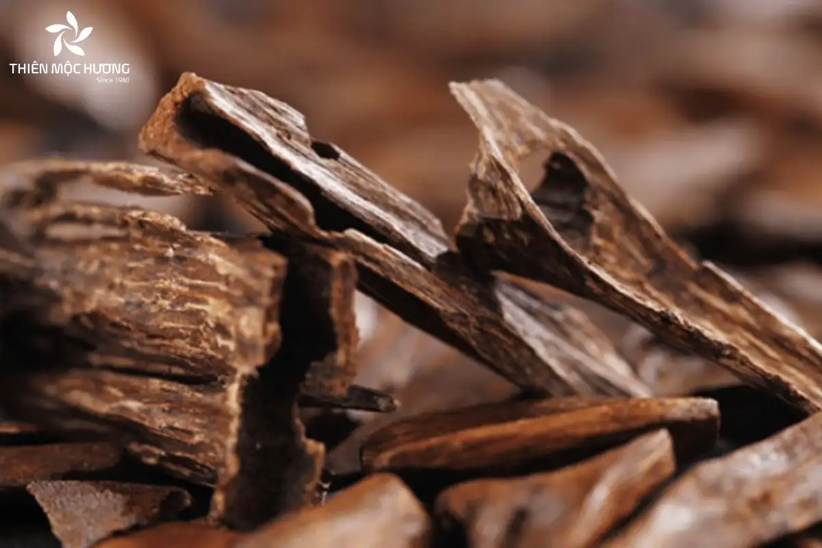 cach-phan-biet-tram-huong-1-1 Người dùng dễ dàng nhận biết trầm hương thật nhờ vị ngọt dịu xen cay đắng còn vương lâu, trong khi trầm giả lại để lại cảm giác gắt hắc và nhanh chóng biến mất