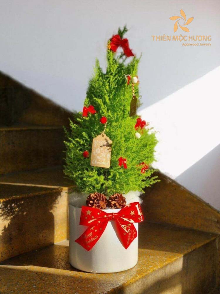 cach-trang-tri-noel-1-1 Trang trí Noel bằng chậu hoa