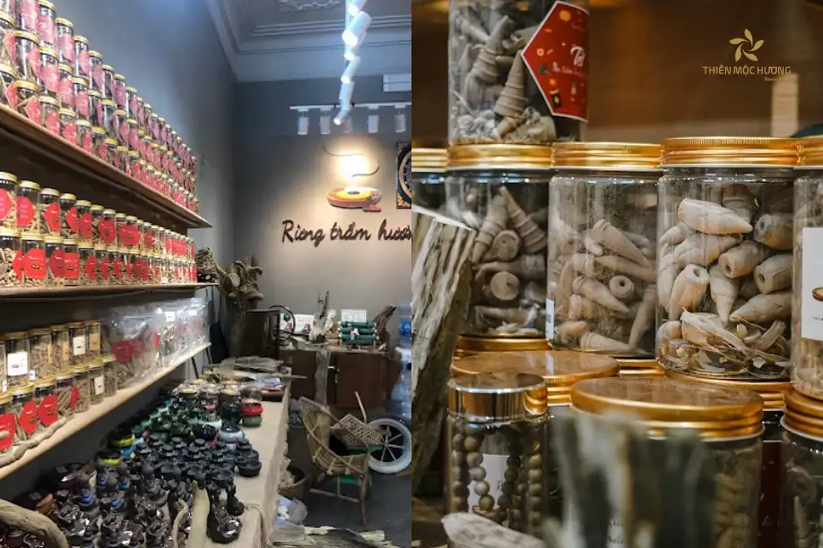 dia-chi-mua-ban-tram-huong-ha-noi Rừng Trầm Hương - Địa chỉ bán nụ trầm hương uy tín tại Hà Nội