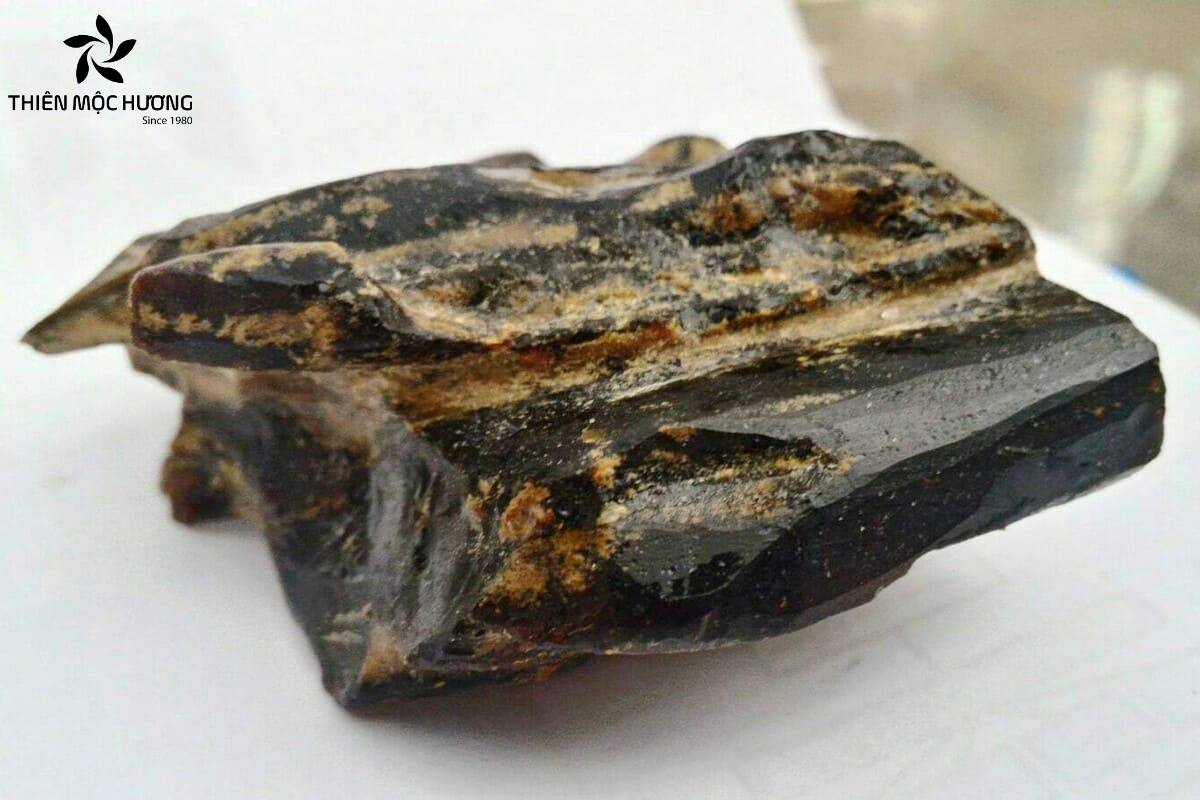 hac-ky-nam-1-2 Hắc kỳ nam là cấp độ cao nhất trong dòng kỳ nam, hình thành hoàn toàn tự nhiên với hàm lượng tinh dầu cao