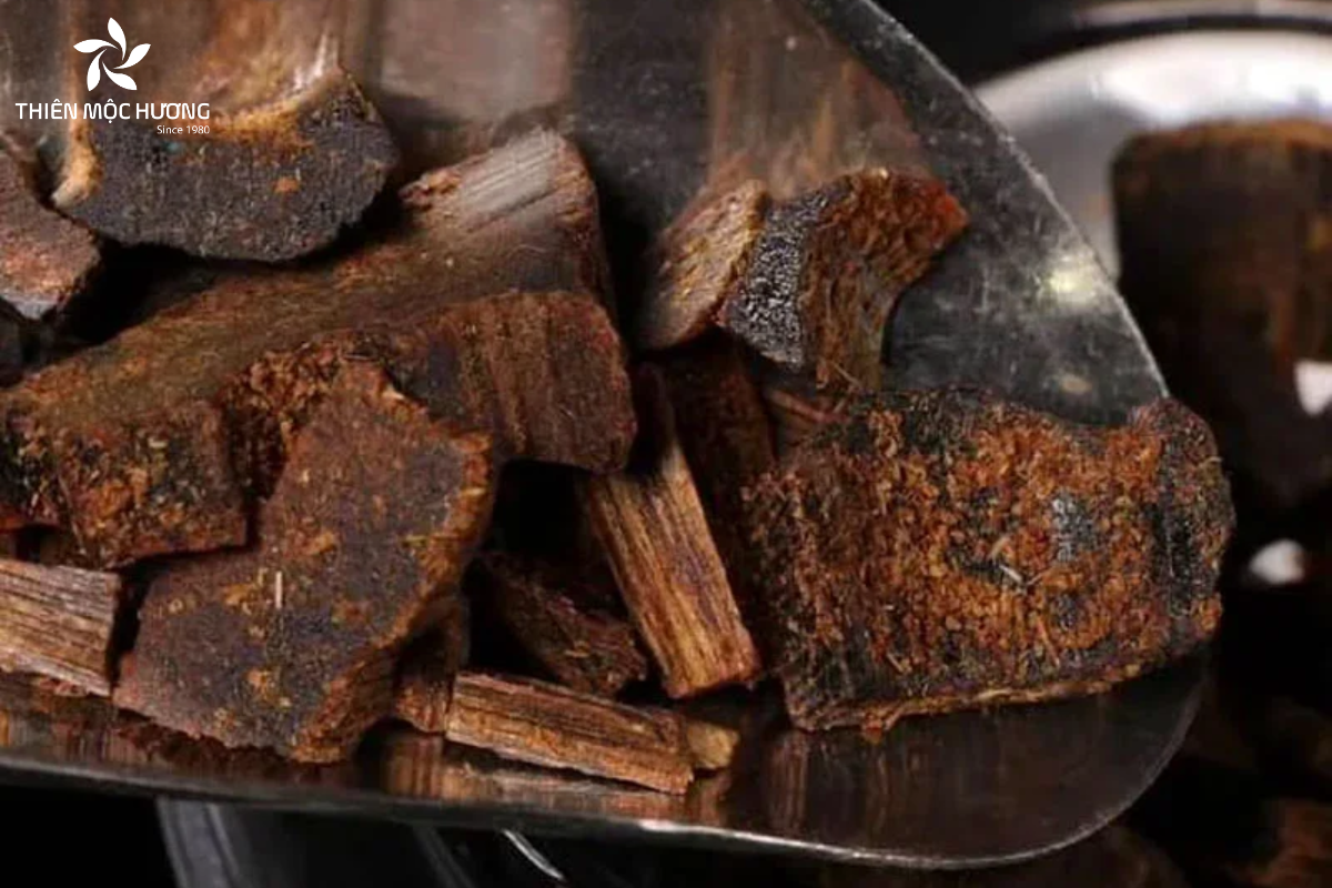 hac-ky-nam-2 Khi cắt ra, hắc kỳ nam có bề mặt nhựa lấp lánh, thớ gỗ đặc chắc và gần như bị tinh dầu bao phủ hoàn toàn