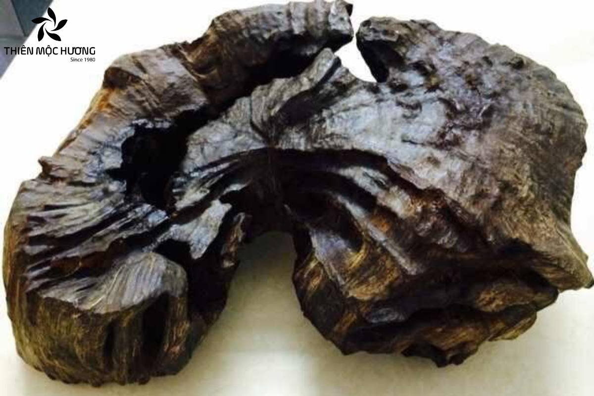 hac-ky-nam-3 Chỉ cần tiếp xúc ở khoảng cách gần, mùi hương của hắc kỳ nam đã lan tỏa mạnh, sâu và rất rõ tầng hương