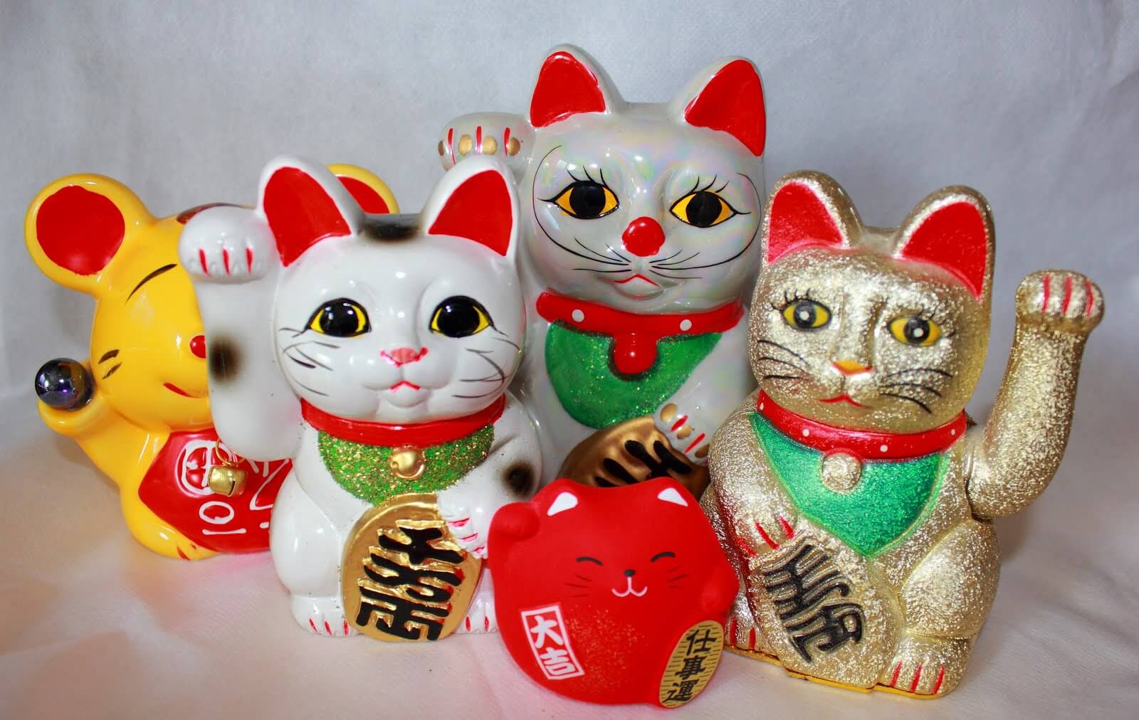 Mèo tam thể và ý nghĩa trong phong thủy