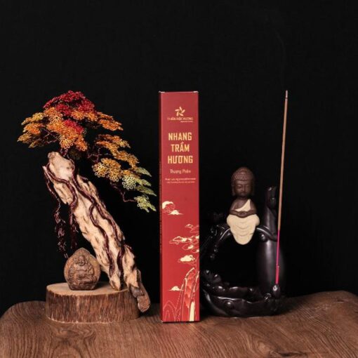 Alternative view of Nhang Trầm Hương Đại Cát Thượng Phẩm (16 năm) – Hộp 100 cây/Lưu hương đến 3h