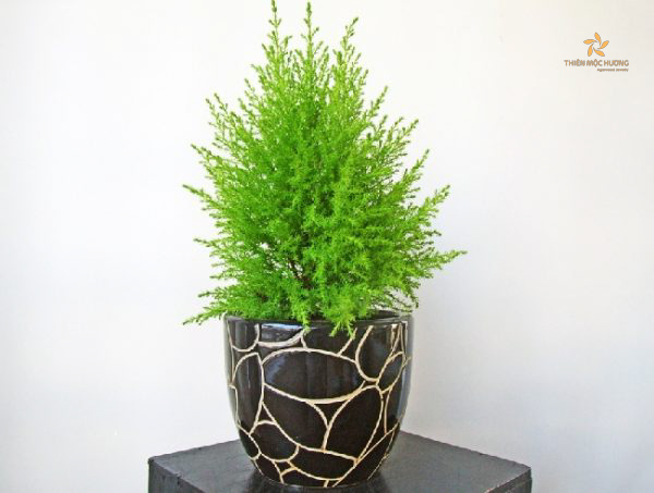 qua-noel-cho-vo-10 quà tặng giáng sinh cho vợ