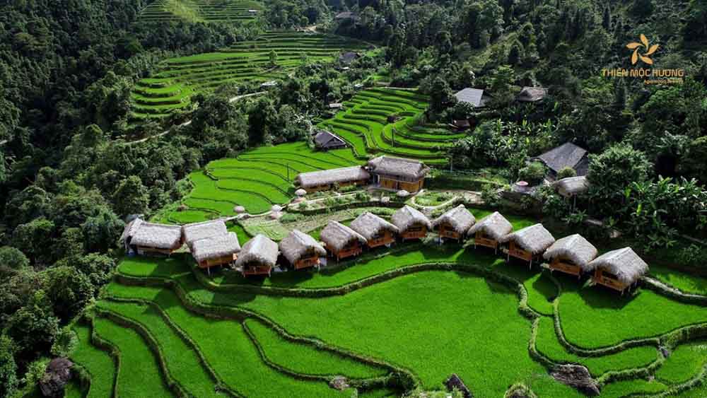 qua-tet-cho-bo-me-chong-10 Một chuyến du lịch