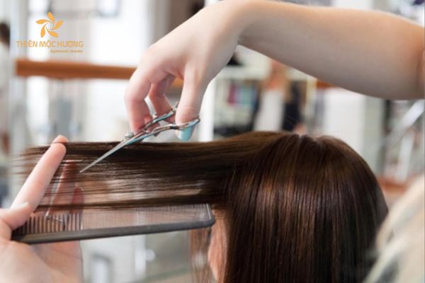 thang-co-hon-co-nen-cat-toc-2-1 Có nên cắt tóc tháng 7 âm