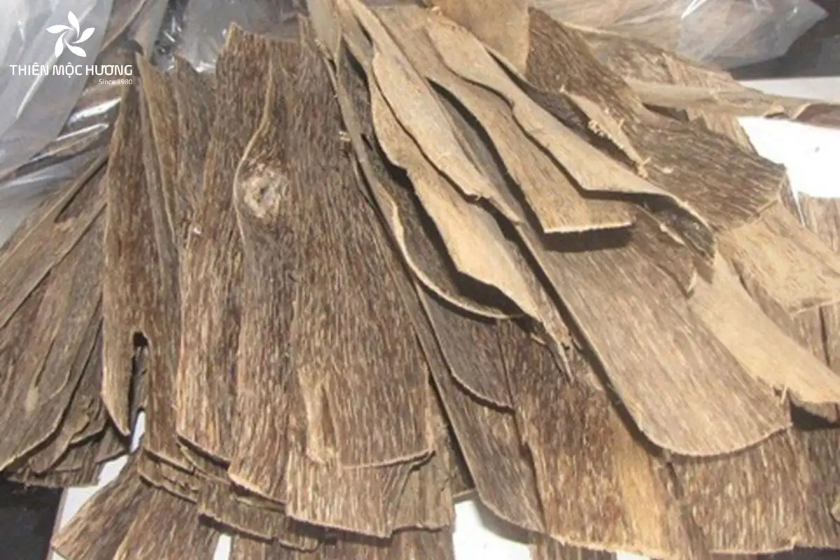 tram-huong-sanh-chim-la-gi-01 Trầm hương sánh chìm là loại trầm do con người tạo từ gỗ Dó Bầu giàu tinh dầu, được ép kết hợp keo chuyên dụng, khác biệt với trầm sánh tự nhiên vốn hình thành mỏng nhẹ