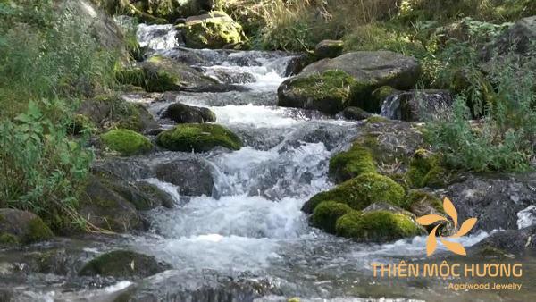 tuyen-trung-thuy-2-1 Tử vi Giáp Thân 2004 có nạp âm Tuyền Trung Thủy thuận lợi và may mắn