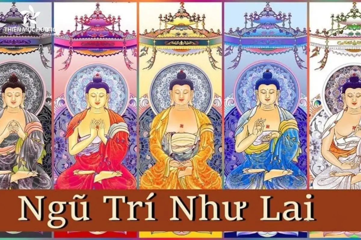 Vòng tay ngũ sắc có ý nghĩa gì trong Phật giáo Tây Tạng