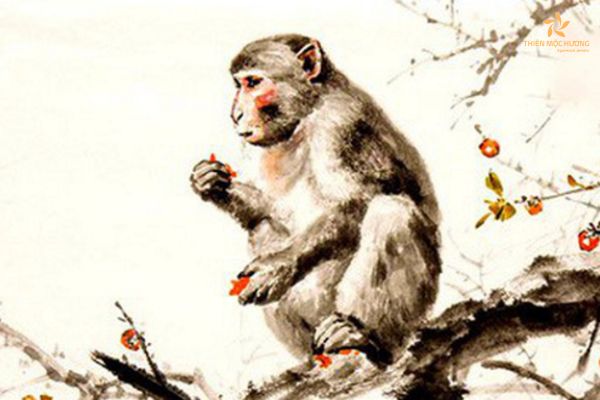 1956-hop-mau-gi-4 Chọn vòng tay phong thủy hợp mệnh tuổi Bính Thân 1956