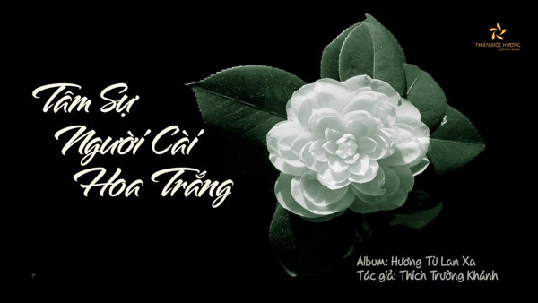 tham khảo bài hát về vu lan nhớ mẹ