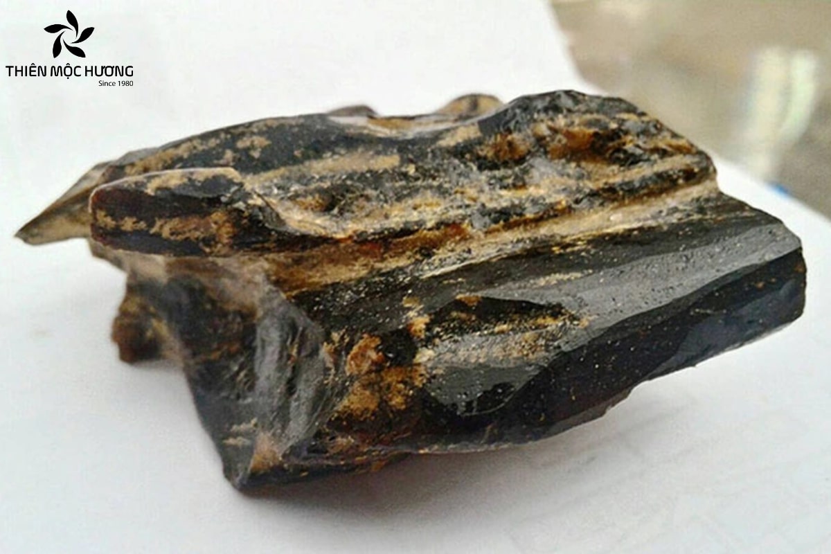 Trầm hương có mấy loại? Phân biệt các loại trầm hiện nay