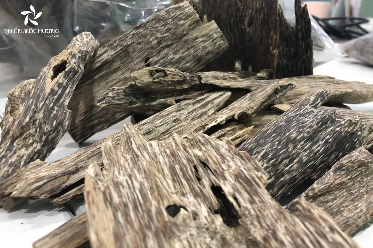 Gỗ trầm được chia thành trầm rừng quý hiếm hình thành tự nhiên và trầm trồng do con người tạo ra, với sự khác biệt rõ rệt về hương thơm và giá trị