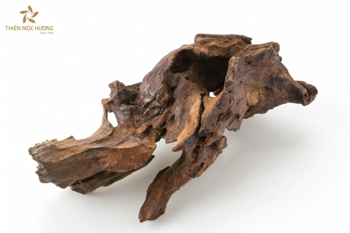 Các loại gỗ trầm được xếp hạng dựa trên hàm lượng tinh dầu, từ kỳ nam quý hiếm và đắt giá nhất, đến trầm hương trung cấp và trầm tốc có giá trị thấp hơn