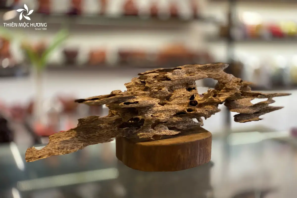 Độ chìm của gỗ trầm trong nước phản ánh hàm lượng tinh dầu, từ đó quyết định giá trị, với trầm chìm quý hiếm nhất và trầm nổi có giá thấp nhất