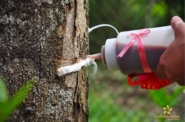 Chế phẩm tạo trầm