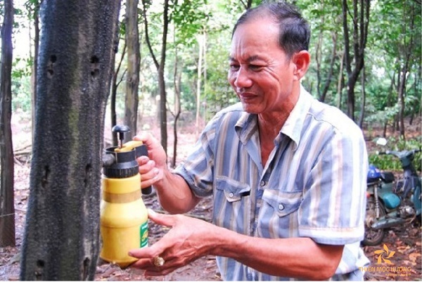 Chế phẩm hoá học 