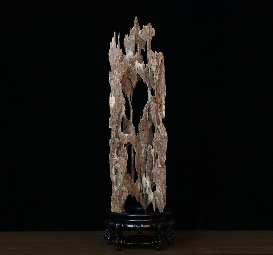 choi-tram-huong-tram-canh-kien-long choi-tram-huong-tram-canh-kien-long