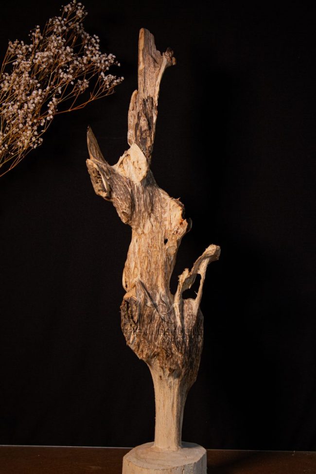 choi-tram-huong-tram-canh-nguyen-khoi choi-tram-huong-tram-canh-nguyen-khoi