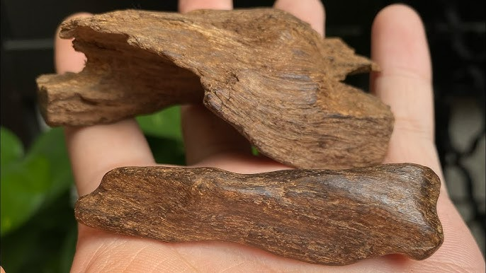 cong-dung-tram-huong-ruc Trầm hương rục giúp xua đi nguồn năng lượng xấu