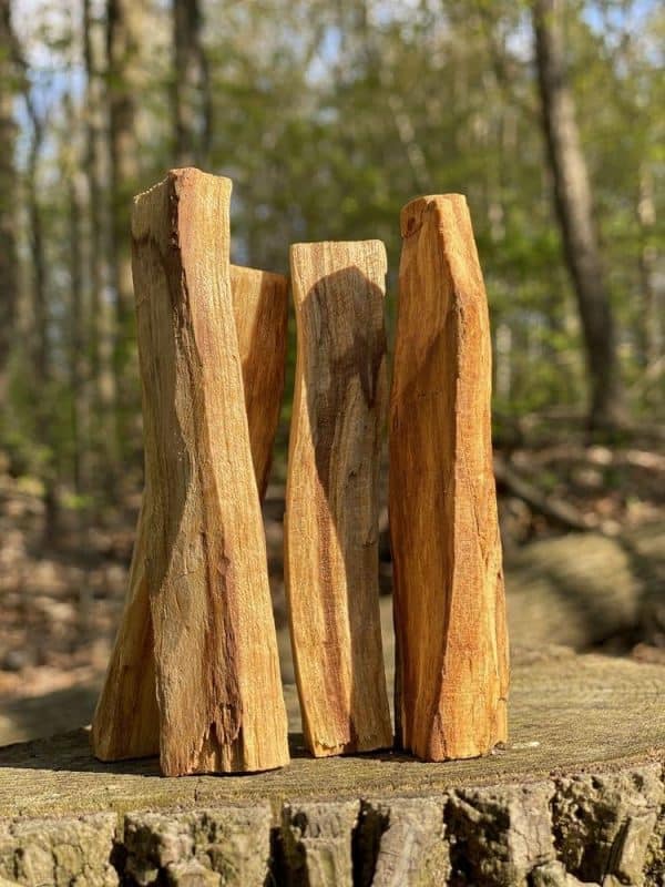 Trắc đen và trắc đỏ có giá trị kinh tế rất cao.