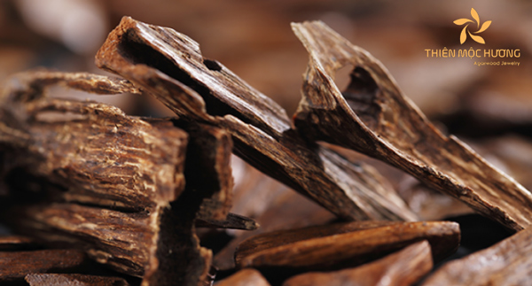 Gỗ trầm hương là "vua của các loài gỗ"