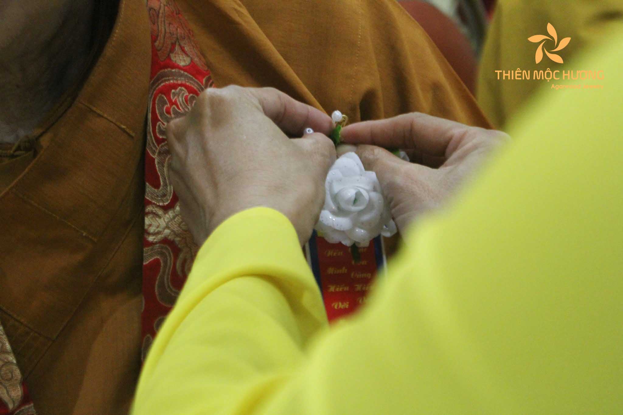 Hình ảnh hoa hồng lễ Vu Lan - Hình ảnh hoa hồng trắng cài áo lễ Vu Lan