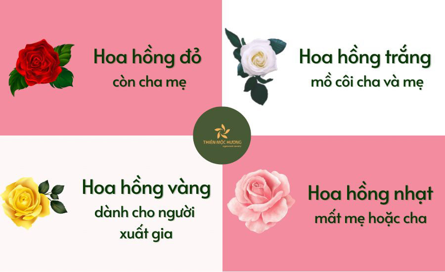Ý nghĩa hoa hồng - một biểu tượng không thể thiếu ngày lễ Vu Lan