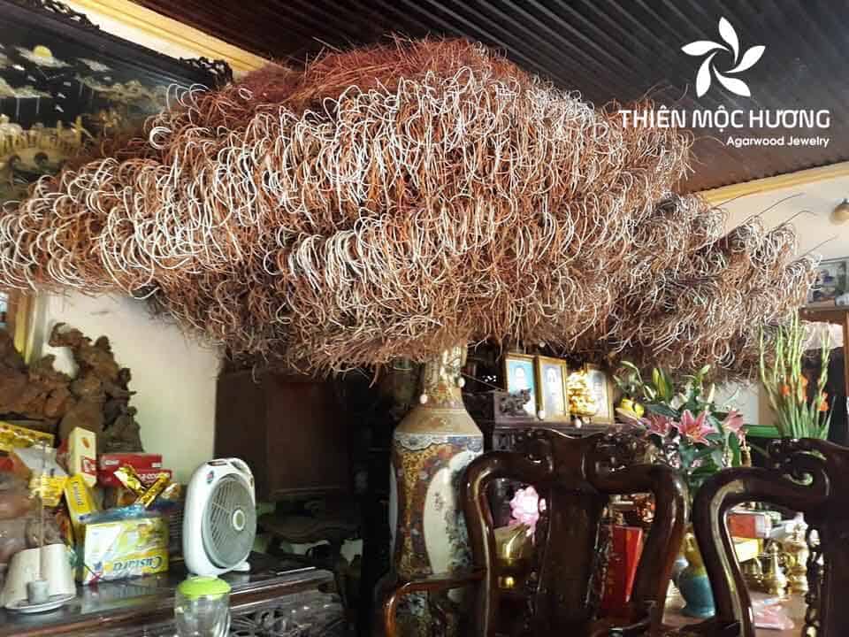 Hương không rụng tàn