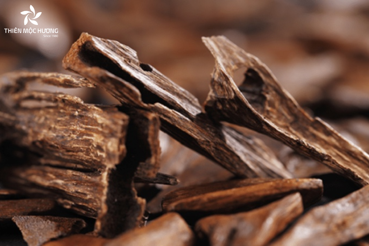 image5 Phân biệt kỳ nam và trầm hương