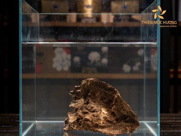 Những lưu ý khi mua gỗ trầm chìm