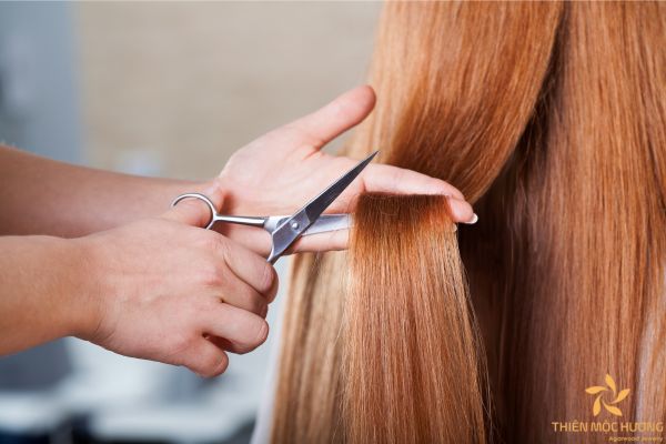 kieng-ky-thang-co-hon kieng-ky-thang-co-hon