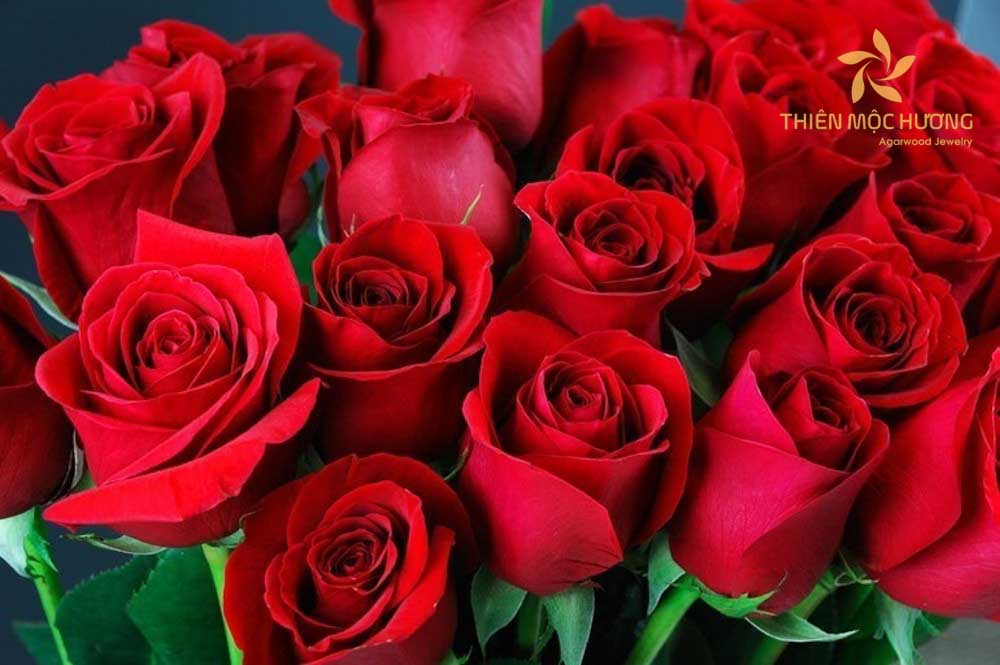 Lời chúc 20/10 cho đồng nghiệp bằng thơ vô cùng độc đáo và ý nghĩa