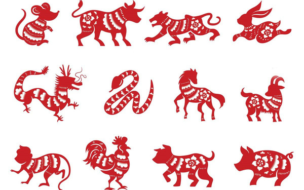 1996 mệnh gì? Cẩm nang phong thủy tuổi Bính Tý 1996