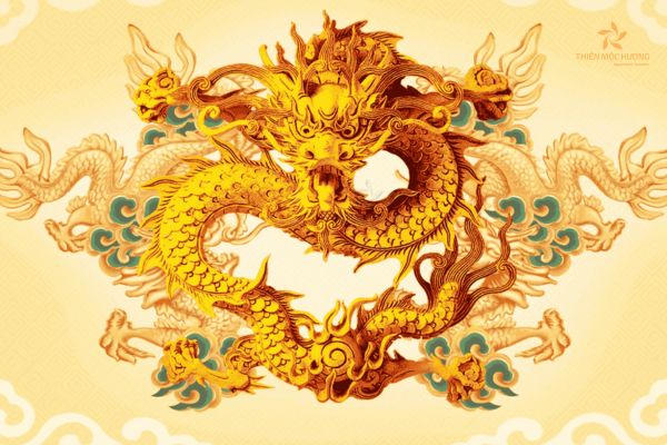 nam-2024-con-gi-1 nam-2024-con-gi