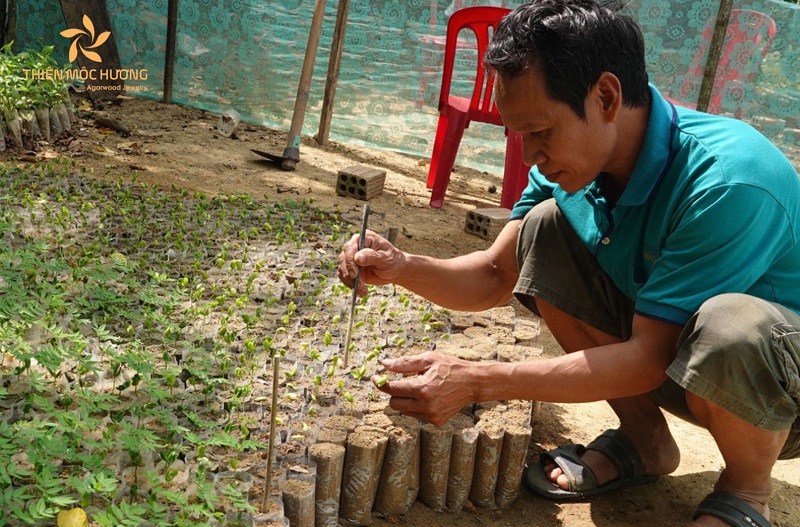 cần phải biết về những ưu điểm và nhược điểm của phương pháp này
