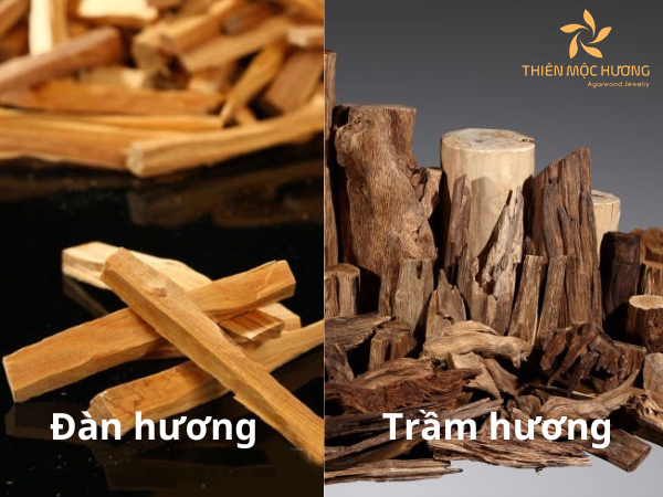 Tìm hiểu về gỗ đàn hương và trầm hương