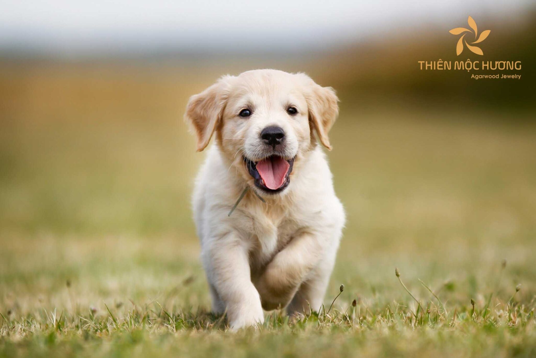 Quà tặng cho bé gái 10 tuổi tạo cho bé sự kỷ luật cần thiết