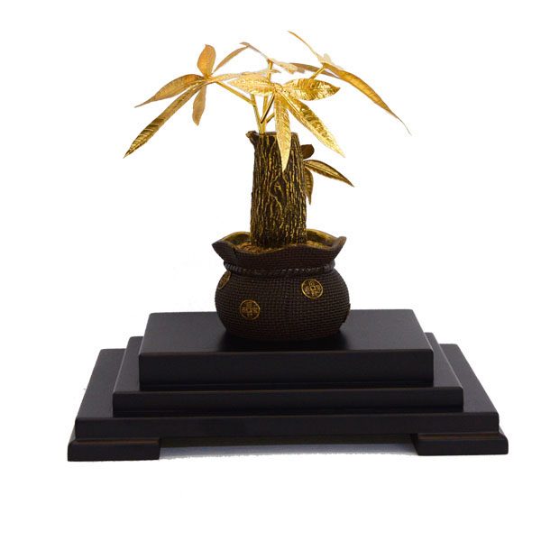 Chậu cây kim ngân dát vàng