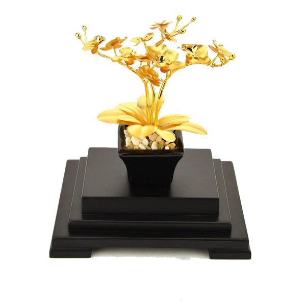 Chậu Lan Hồ Diệp một cành dát vàng