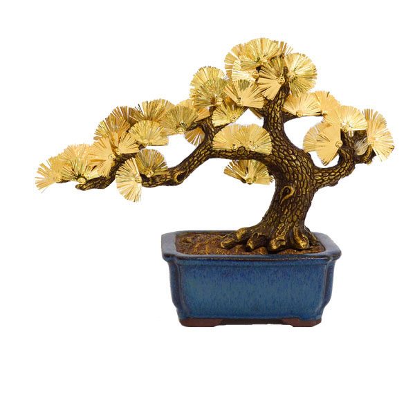 Cây tùng la hán mạ vàng