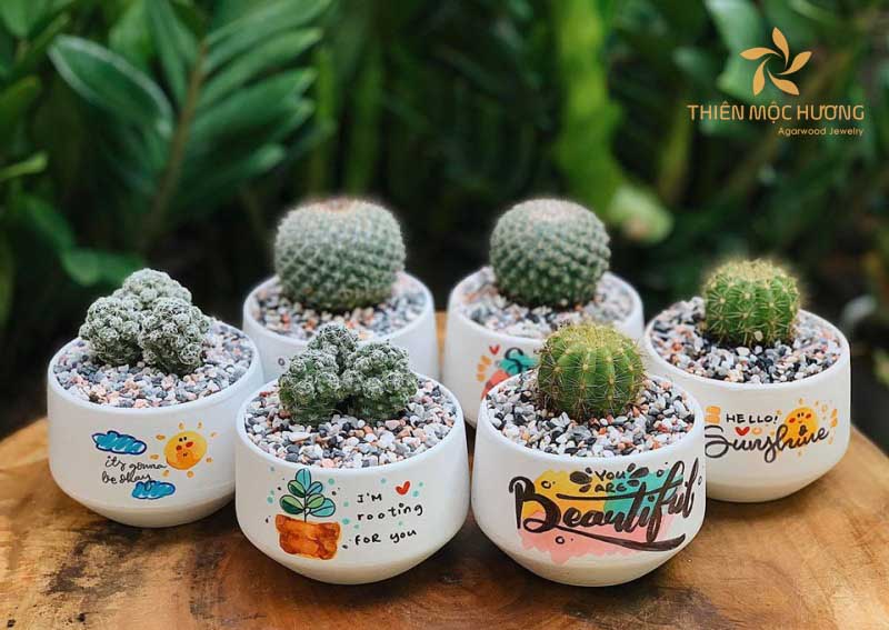 qua-tang-nguoi-yeu-15 Giá thành của món quà tặng người yêu là chậu cây nhỏ khá dễ chịu