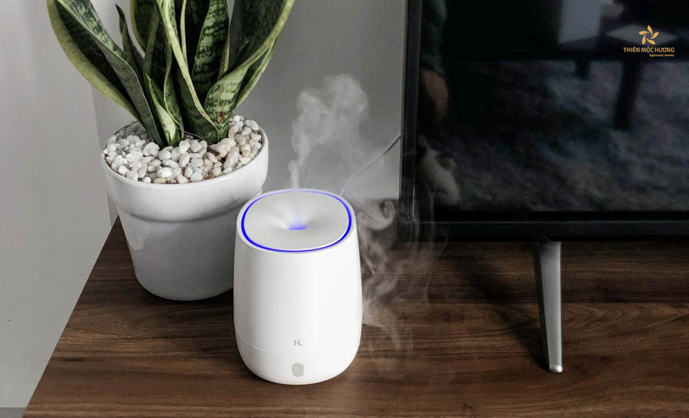 qua-tet-cho-nguoi-lon-tuoi-12 Máy xông tinh dầu