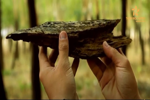 quy trình sản xuất vòng trầm hương