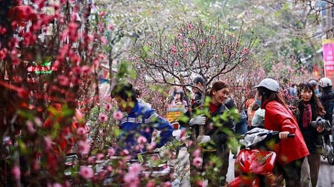 Lịch sử Tết Nguyên đán Việt Nam