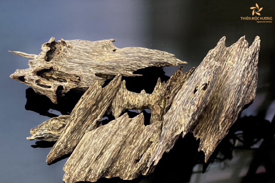 tram-huong-campuchia-la-gi-1 tram-huong-campuchia-la-gi