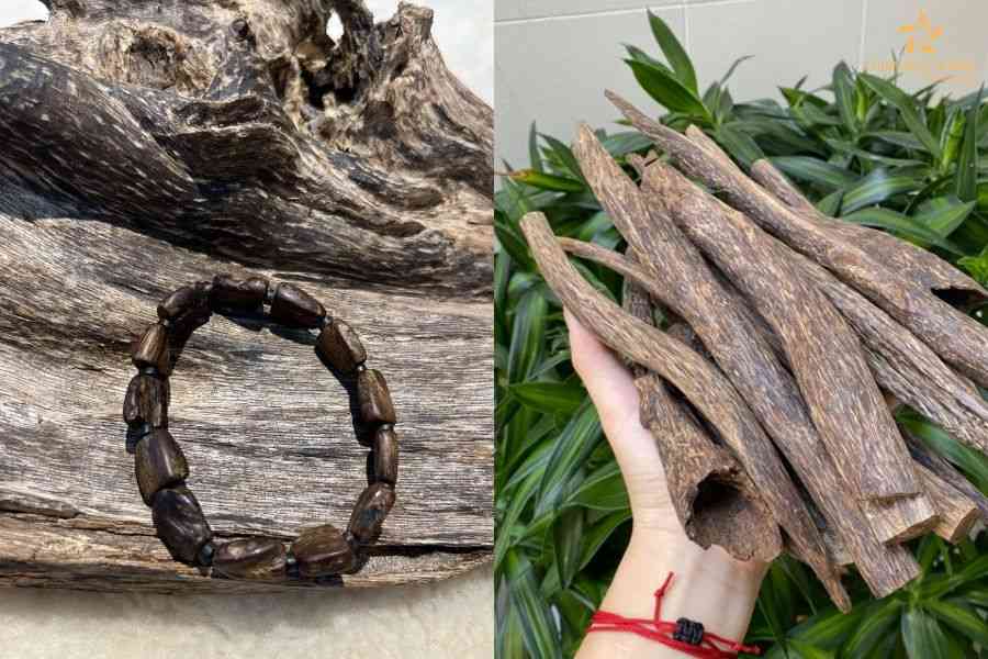 tram-huong-campuchia-la-gi-2 tram-huong-campuchia-la-gi