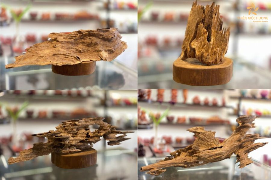 tram-huong-campuchia-la-gi-9 tram-huong-campuchia-la-gi